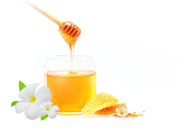 ブラジリアンワックススクール練習のモニター募集