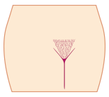 違和感のない自然なデザイン