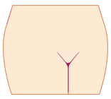 ブラジリアンワックスデザイン:全取り(ブラジリアン)